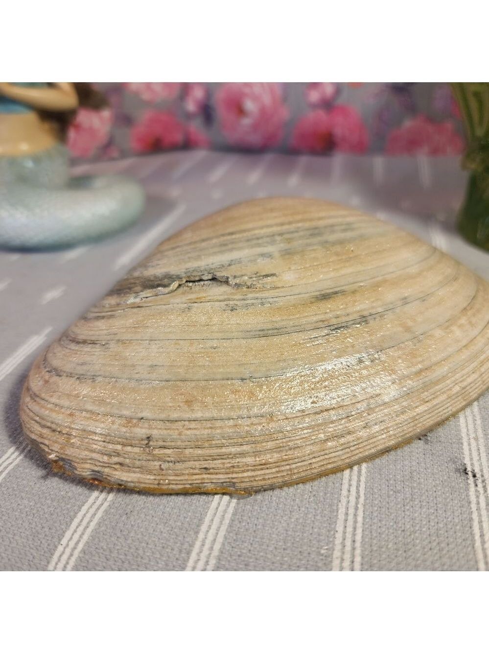 DECOUPAGE CLAM SHELL DECOUPAGE SNOWFLAKES ON A CLAM SHELL TRINKET DISH - Picture 10 of 10